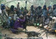 In Katsina: Bulletproof charms sell for N60, 000.00