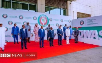 Terrorism, coups: ECOWAS establishes regional force