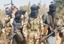 Bauchi police neutralise 12 bandits