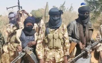 Bauchi police neutralise 12 bandits