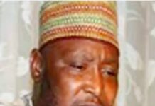 Tinubu Mourns Max Air CEO, Mangal