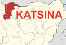 Katsina Voters: We appreciate your support, consolidate it. – Prof Badamasi Lawal