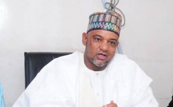 Damagum replaces Ayu as PDP national chairman
