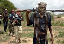 Bandit attack claims 29 lives in Kaduna