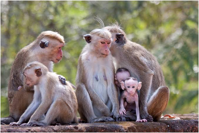 images - 2023-04-21T225633.216