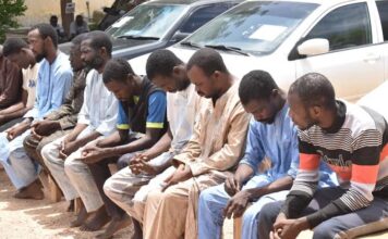 Katsina police arrests, parades 74 suspects