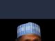 President Tinubu requires patience, cooperation from Nigerians – Sen ‘Yar’adus