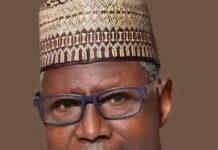 NEDC: Senate confirms Tinubu’s nominations