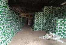 Looting in Adamawa: NEMA raises alarm in Kaduna