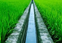 Katsina establishes Irrigation Authority, ICT Directorate