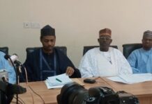 Katsina govt purchases, distributes grains