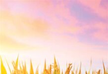 Kebbi supports RIFAN with N70m