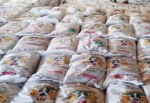 Free fertiliser for Nigeria from Russia stuck in EU ports