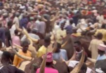 Reopen boarders in the North, House of Reps urges FG