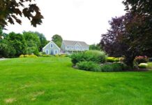 Importance Of Biodiversity Conservation