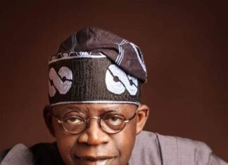 Rally round President Tinubu to actualise Renewed Hope Agenda