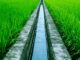 FGN plans 50% agric subsidy