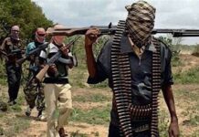 Five terror leaders gunned down in Katsina