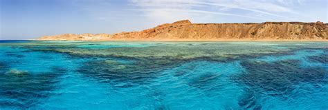 th - 2023-12-20T094259.511