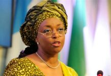 Dizeeini entrusted $9 billion from her loot to Dr Dauda Lawal, Zamfara Governor