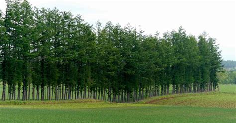 th - 2024-01-02T224151.399