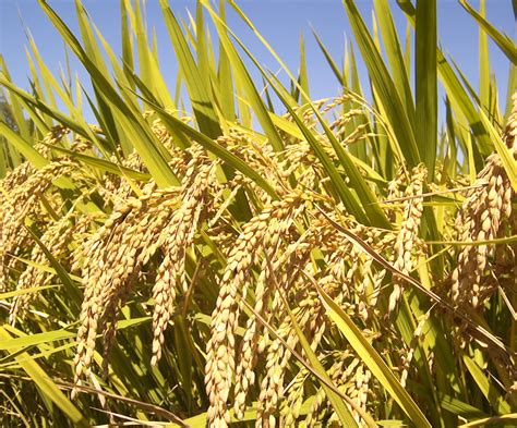 th - 2024-01-10T174848.903