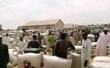 Poor Nigerians receive 42,000 tons of grains, free
