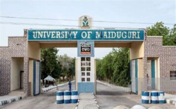 Court jails university don