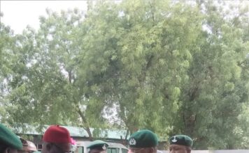 Customs Intercepted 40 Cartons Of Explosives In Kebbi