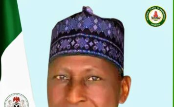 Katsina LGAs Collaborates with Gov Radda on security, agriculture -Prof Badamasi Lawal