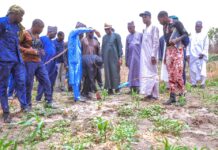 Gov Zulum pledges more support for irrigation in Southern Chad