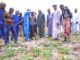 Gov Zulum pledges more support for irrigation in Southern Chad