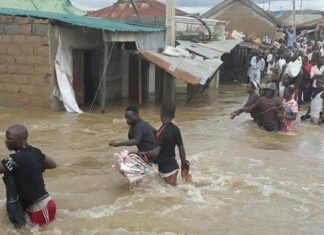 Flood destroys 250 homes in Katsina