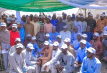 Borno offers foreign scholarship, automatic employment to 180 postgraduates