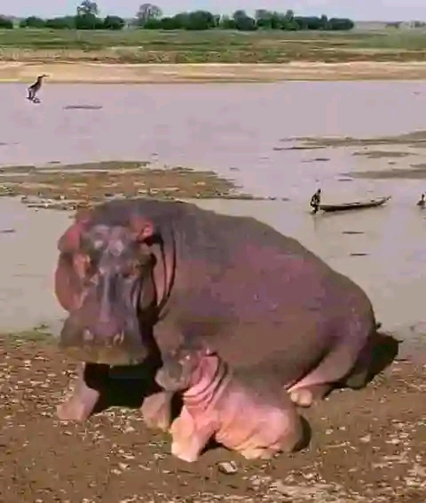 IMG-20240923-WA0024(1)