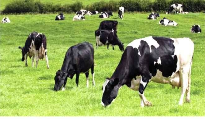 images - 2024-09-25T101546.227