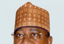 Gov. Idris pledges support to LG