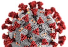 COVID 19 variant, XEC COVID-19 SRTAIN detected, hospitals on high alert