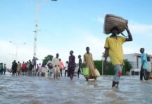 Maiduguri Flood: Gov Zulum urges speedy repair of Lau Dam