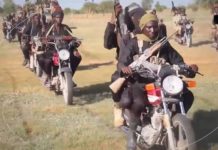 Zamfara gov succumbs to bandits, seeks reconciliation
