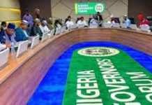 SECURITY: Recruit more personnel, deploy technology-driven solutions -governors urge FG