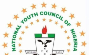 Strategic Youth Leadership and Advocacy for sustainable Youth Development