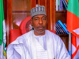 Gov Zulum appoints new SAs