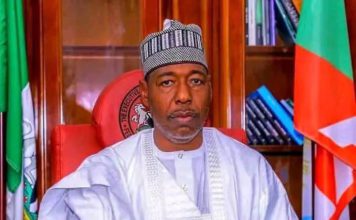 Gov Zulum appoints new SAs