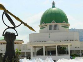 Senate leader loses return ticket