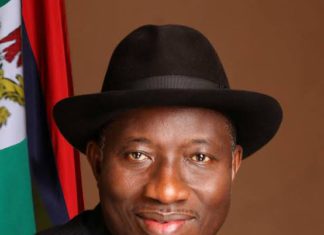 PDP Fields ex – President Jonathan sole candidate for 2027
