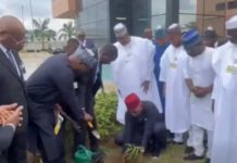 VP Shettima, Gov Radda Explore Agro-Industrial Development Opportunities at Benin’s GDZI
