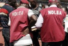 NDLEA interceots drugs wirth N10.3 billion