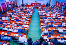 Halt rehabilitation of repentant terrorists, Senate urges FG