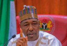 APC: 27 aspirants jostle for Borno Deputy Governirship